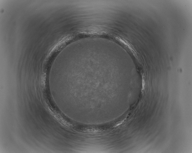 X0000084560735200703021423