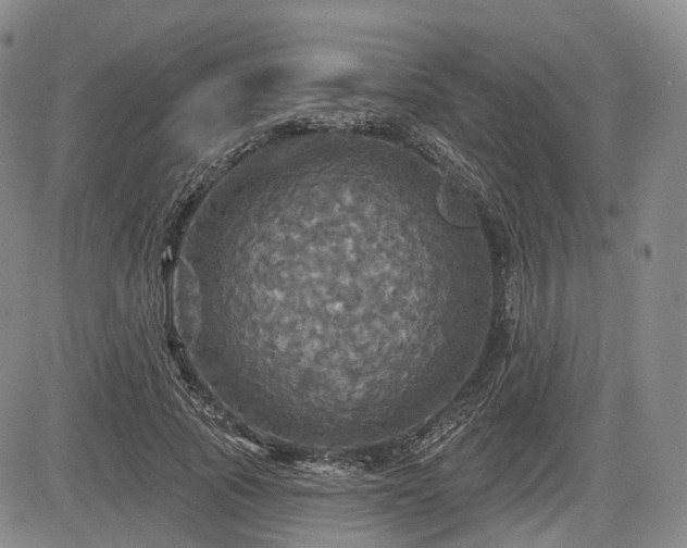 X0000084560737200703021423