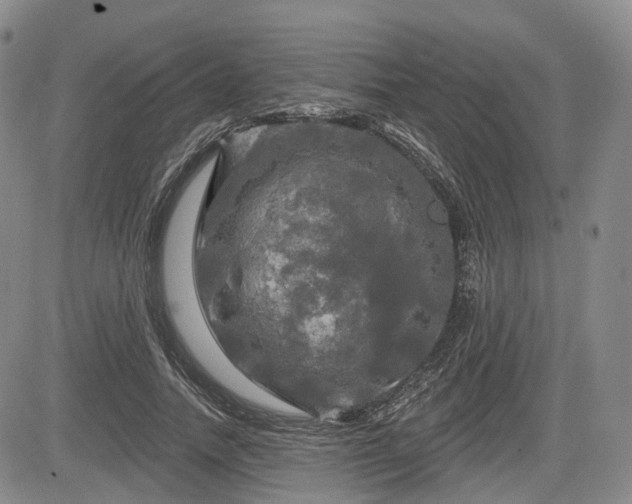 X0000084560738200703021423