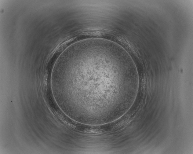 X0000084560739200703021423