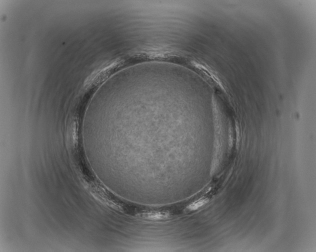 X0000084560740200703021423