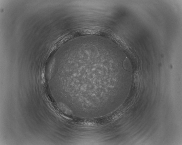 X0000084560741200703021423