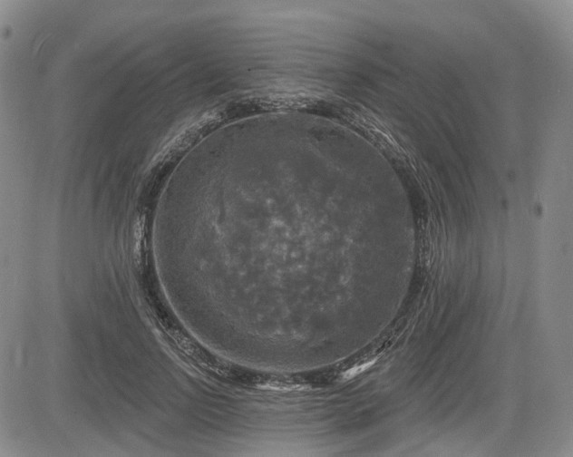 X0000084560742200703021423