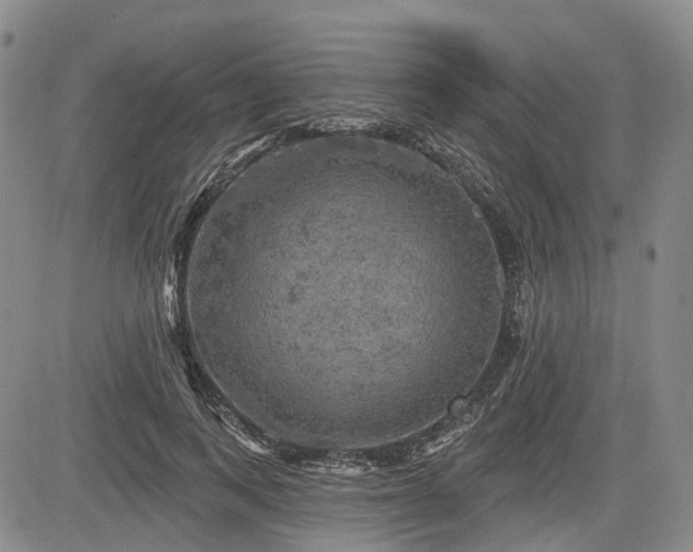 X0000084560743200703021423