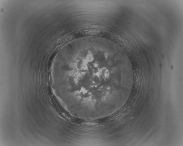 X0000084560745200703021423