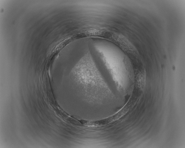 X0000084560746200703021423