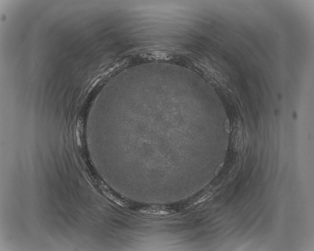 X0000084560747200703021423