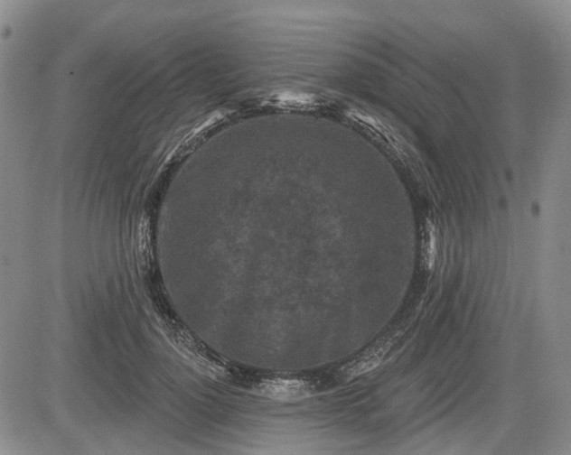 X0000084560748200703021423