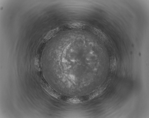 X0000084560749200703021423