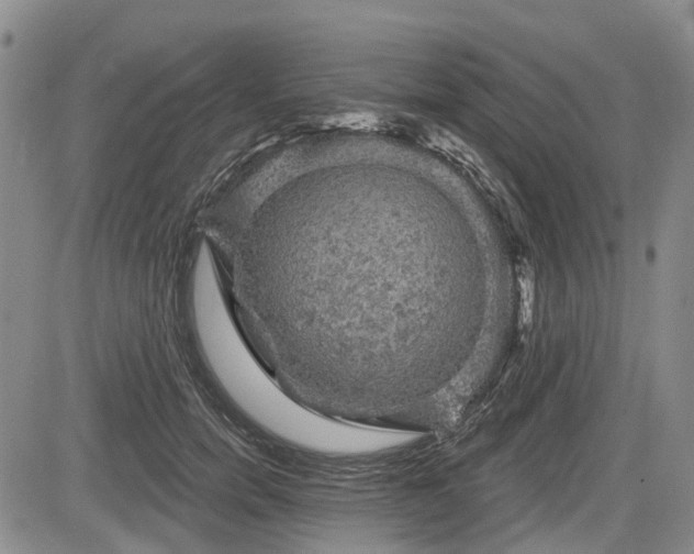 X0000084560750200703021423