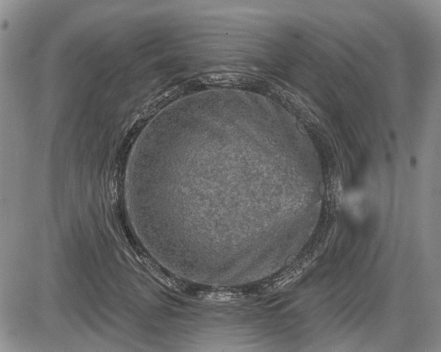 X0000084560751200703021423