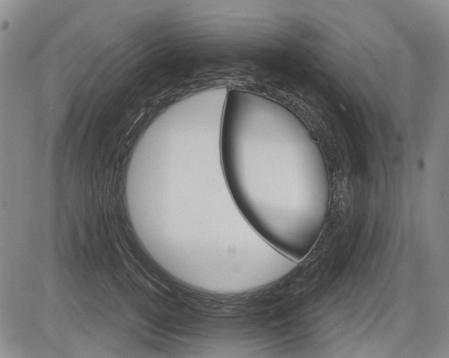 X0000084560752200703021423