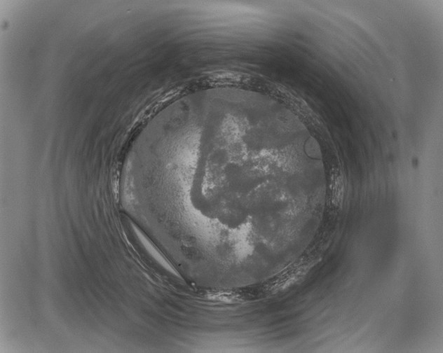 X0000084560753200703021423