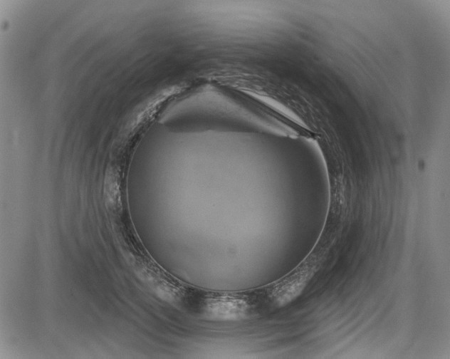 X0000084560754200703021423