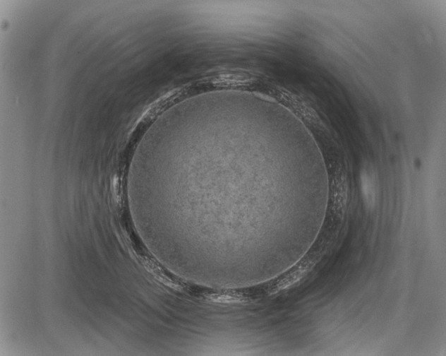 X0000084560755200703021423