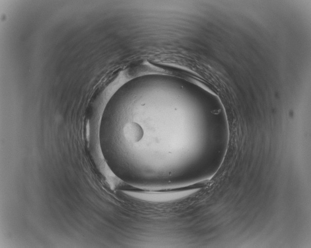 X0000084560756200703021423