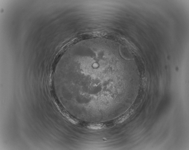 X0000084560757200703021423