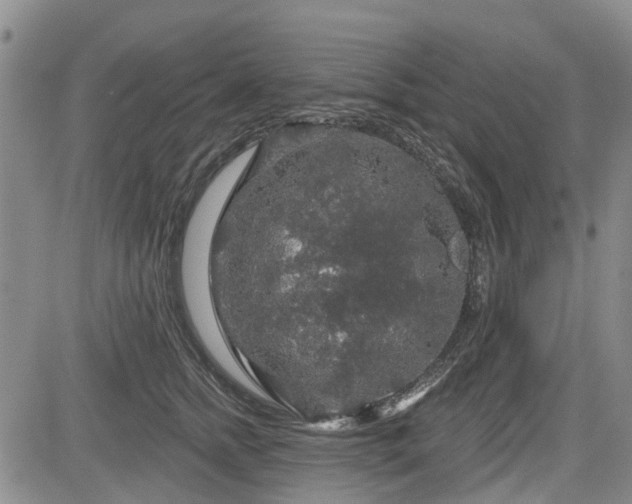 X0000084560758200703021423