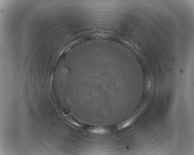 X0000084560759200703021423