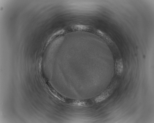 X0000084560760200703021423