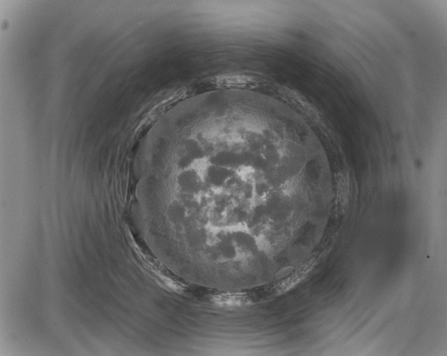 X0000084560761200703021423