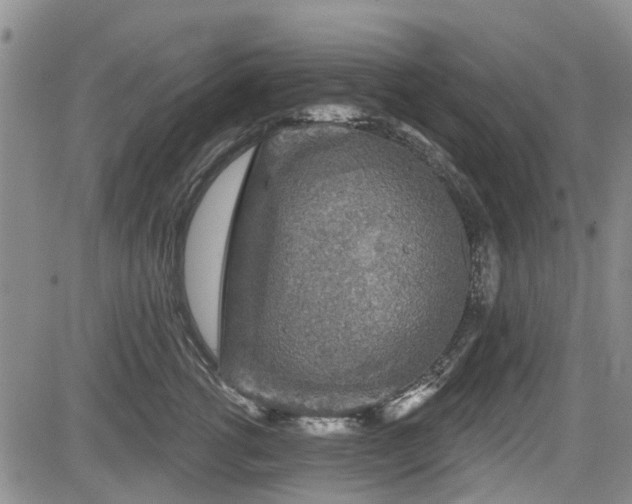 X0000084560762200703021423