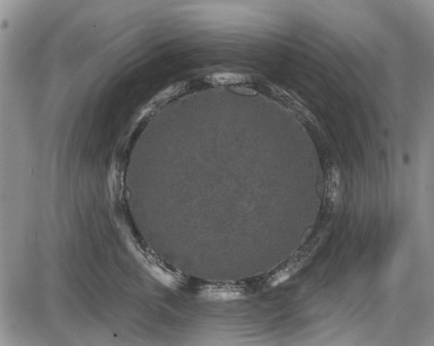 X0000084560763200703021423