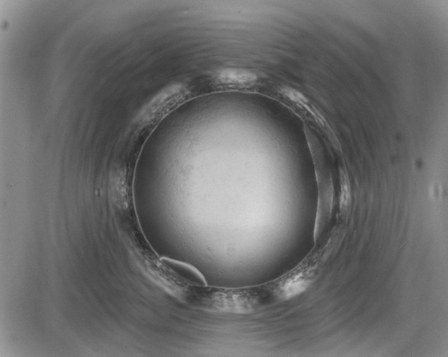 X0000084560764200703021423