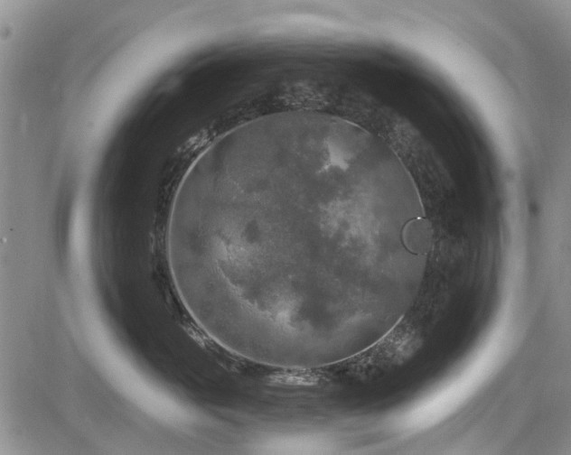 X0000084560765200703021423