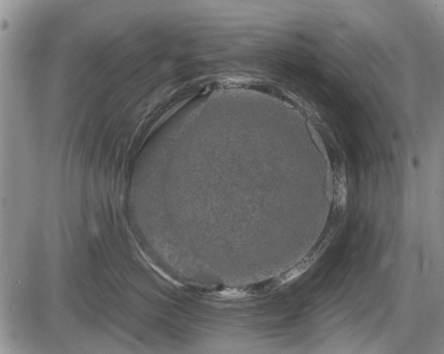 X0000084560766200703021423