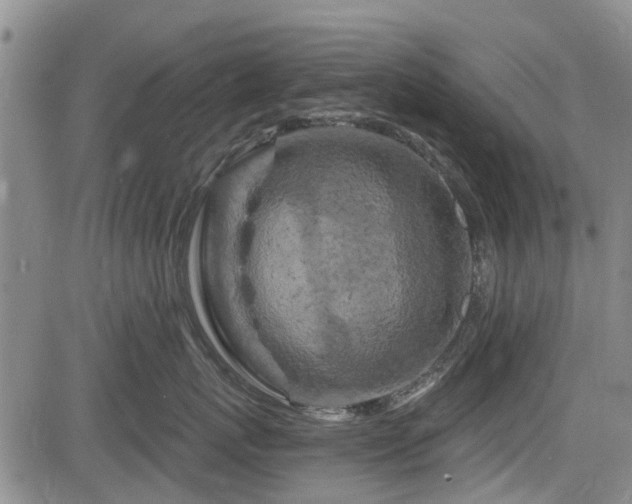 X0000084560767200703021423