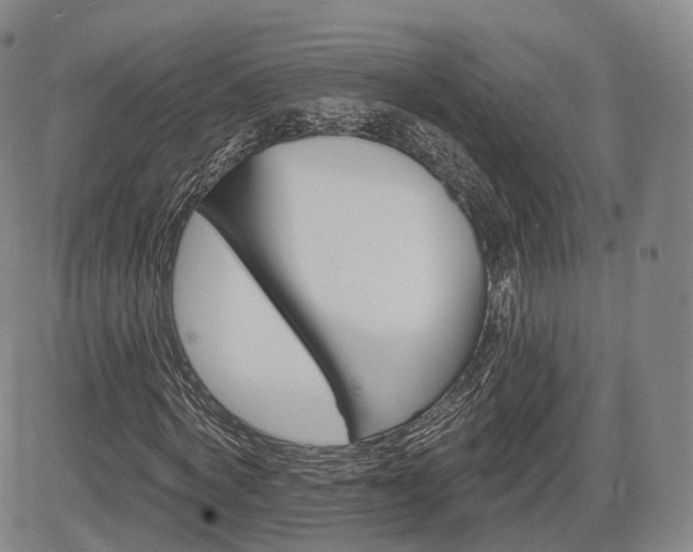 X0000084560772200703021422