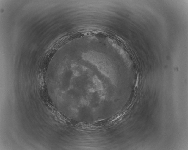 X0000084560774200703021422
