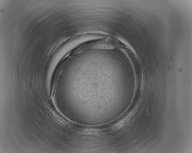 X0000084560777200703021422