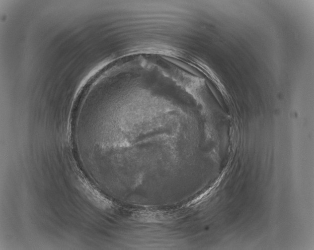 X0000084560780200703021422