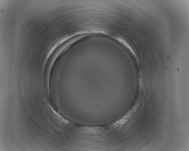 X0000084560781200703021422