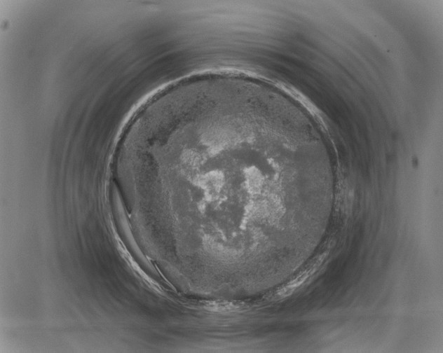 X0000084560799200703021422