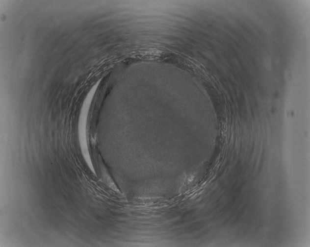 X0000084560818200703021421
