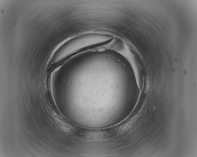 X0000084560830200703021421