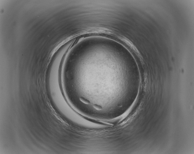 X0000084560834200703021421