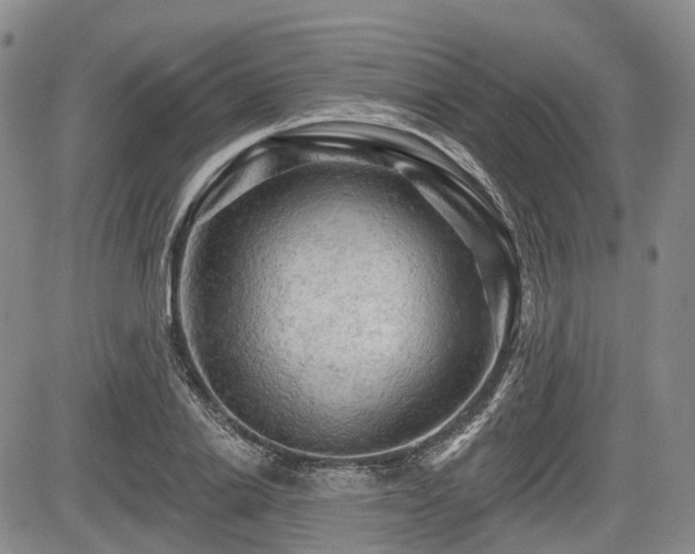 X0000084560838200703021421