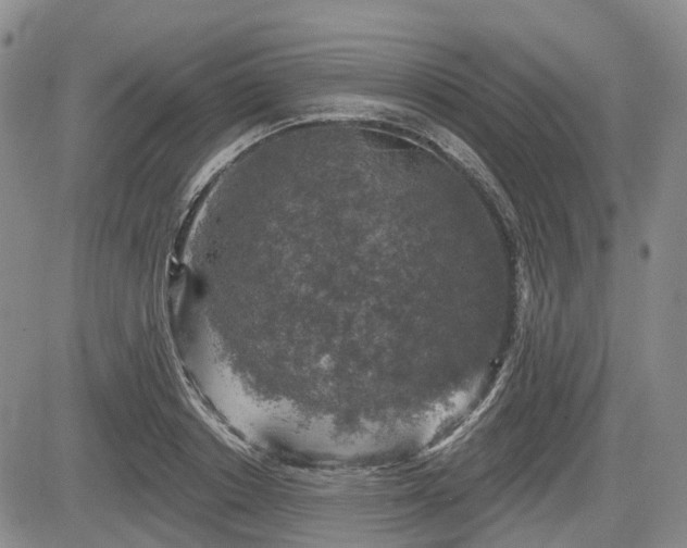 X0000084560842200703021421