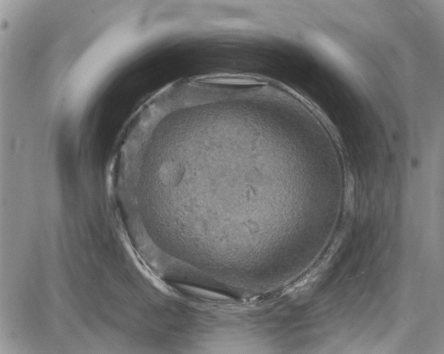 X0000084560862200703021422