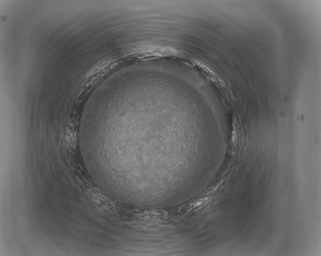 X0000084560869200703021421