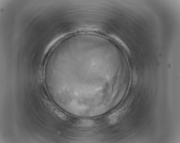X0000084560878200703021420