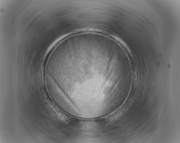 X0000084560886200703021420