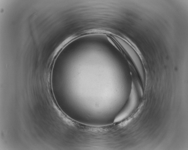 X0000084560909200703021420