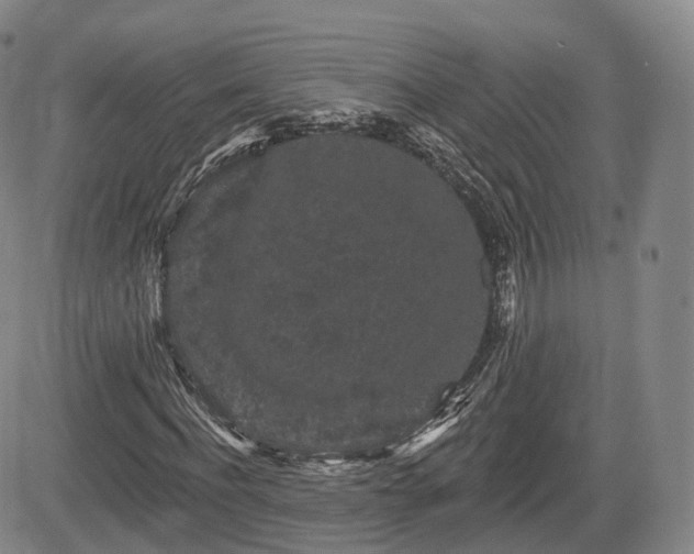 X0000084560916200703021419