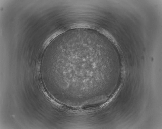 X0000084560937200703021419