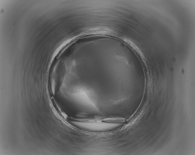 X0000084560941200703021420